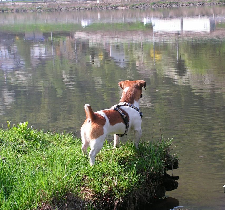 PICT2596.JPG