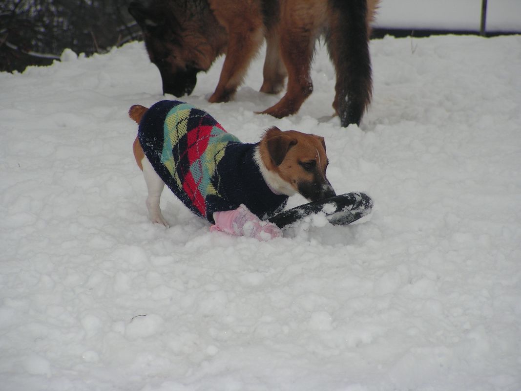 PICT0058.JPG