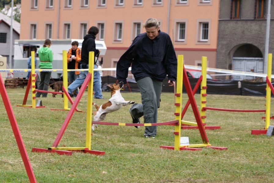 DSC08954.JPG