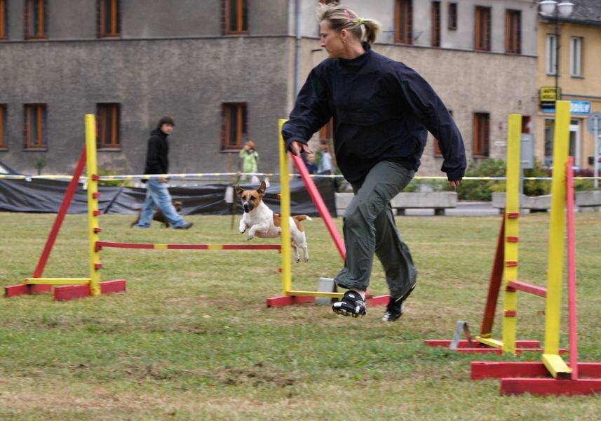 DSC08963.JPG
