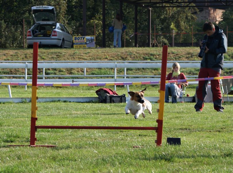 DSC02212.JPG