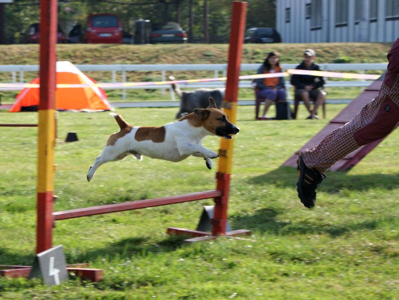DSC02215.JPG