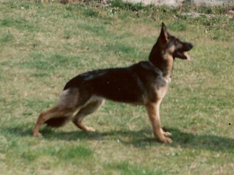 scn0028.jpg