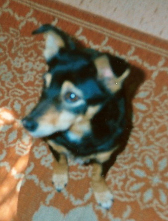 scn0012.jpg
