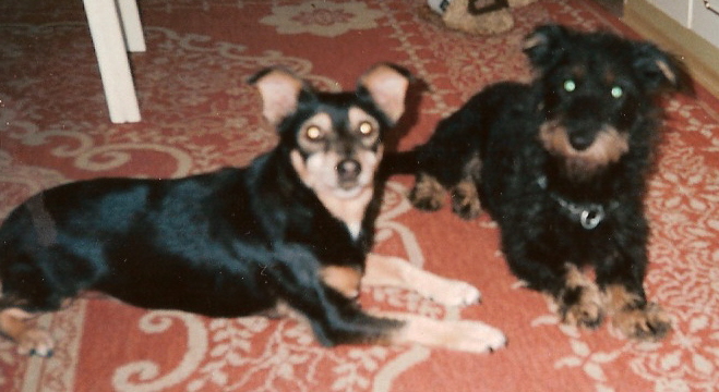 scn0013.jpg