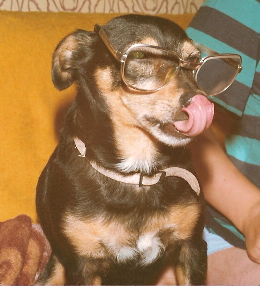 scn0015.jpg
