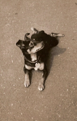 scn0016.jpg