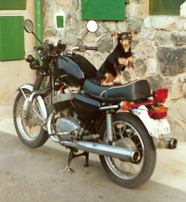 scn0017.jpg